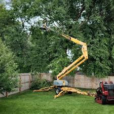 Best Tree Removal  in Cape May Court House, NJ